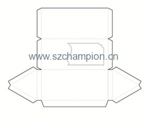 Image1