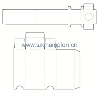 Image1