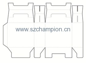 Image1