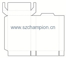 Image1