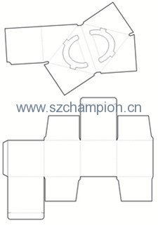 Image1
