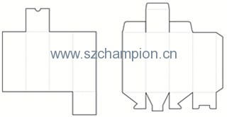 Image1