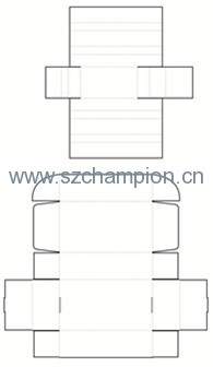 Image1